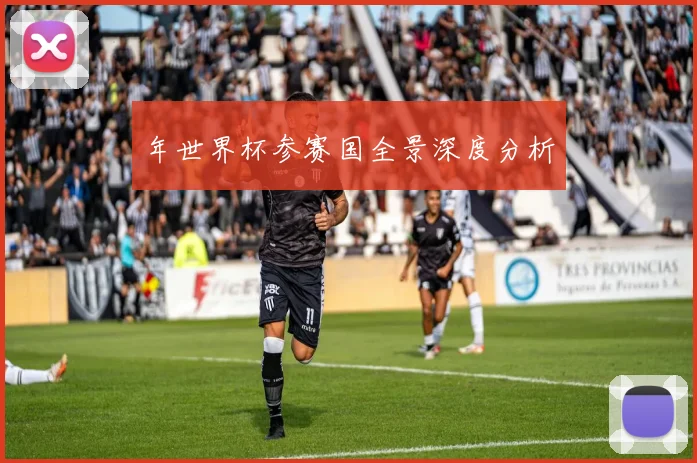 年世界杯参赛国全景深度分析