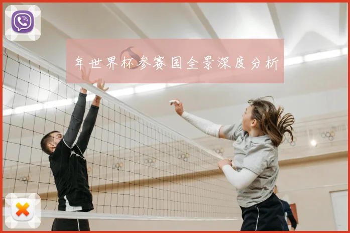 年世界杯参赛国全景深度分析