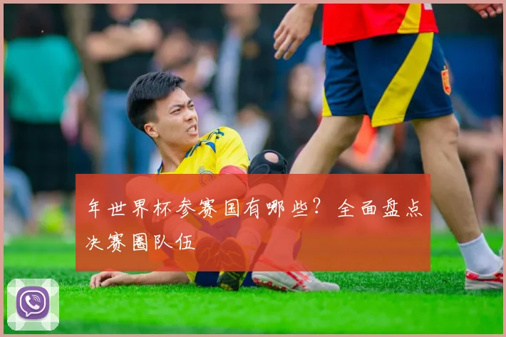 年世界杯参赛国有哪些?全面盘点决赛圈队伍