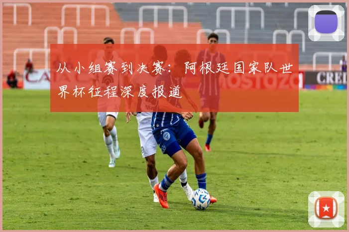 从小组赛到决赛：阿根廷国家队世界杯征程深度报道