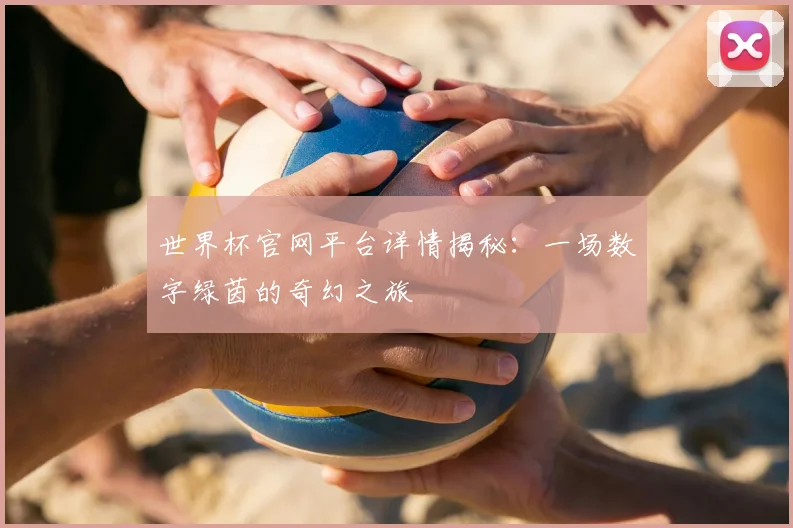 世界杯官网平台详情揭秘：一场数字绿茵的奇幻之旅