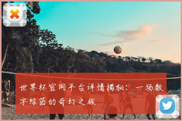 世界杯官网平台详情揭秘：一场数字绿茵的奇幻之旅
