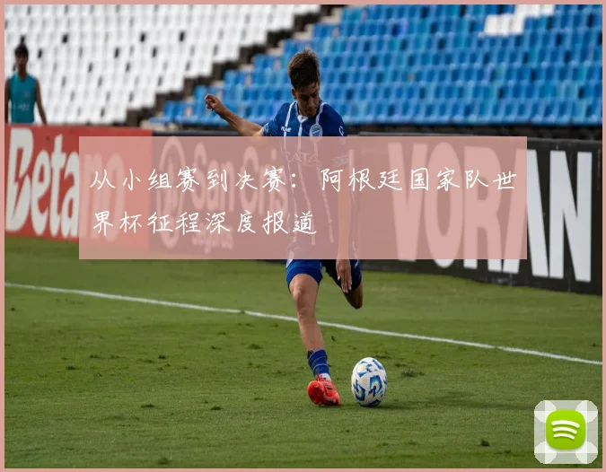 从小组赛到决赛：阿根廷国家队世界杯征程深度报道