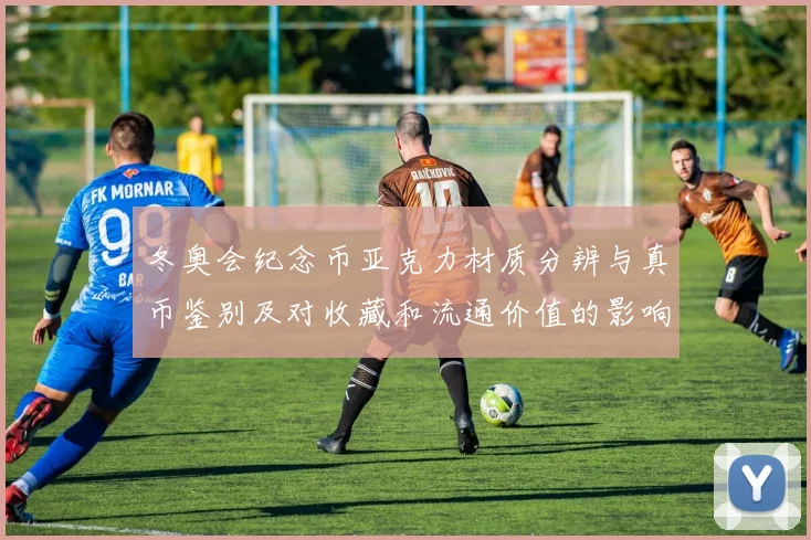 冬奥会纪念币亚克力材质分辨与真币鉴别及对收藏和流通价值的影响分析