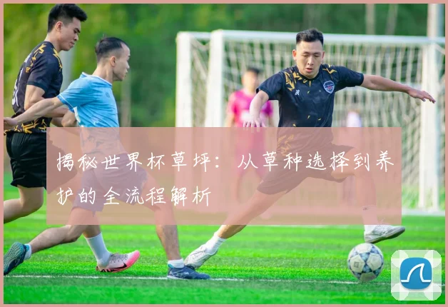 揭秘世界杯草坪：从草种选择到养护的全流程解析